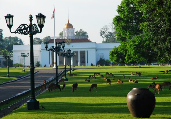 kebun-raya-bogor-2